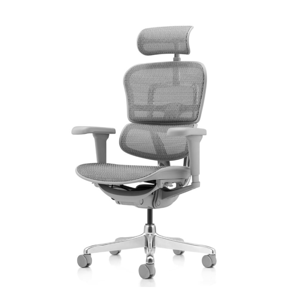 Ergohuman Ultra Cor: Cinza